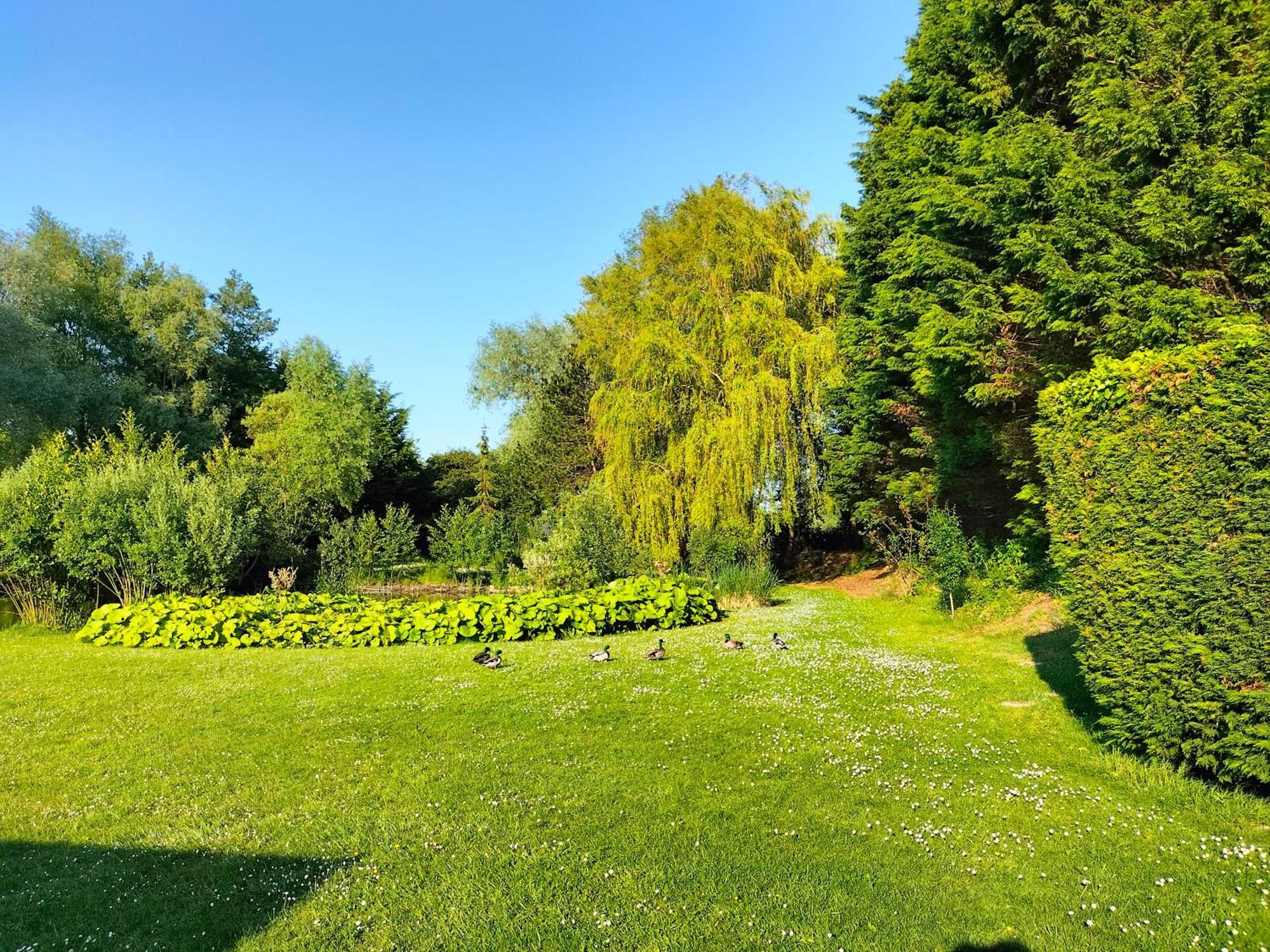 Bed and Breakfast La Mouillere Verton Zewnętrze zdjęcie